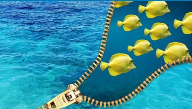 Vertriebspsychologie, psychologischer Vertrieb Vertriebstraining